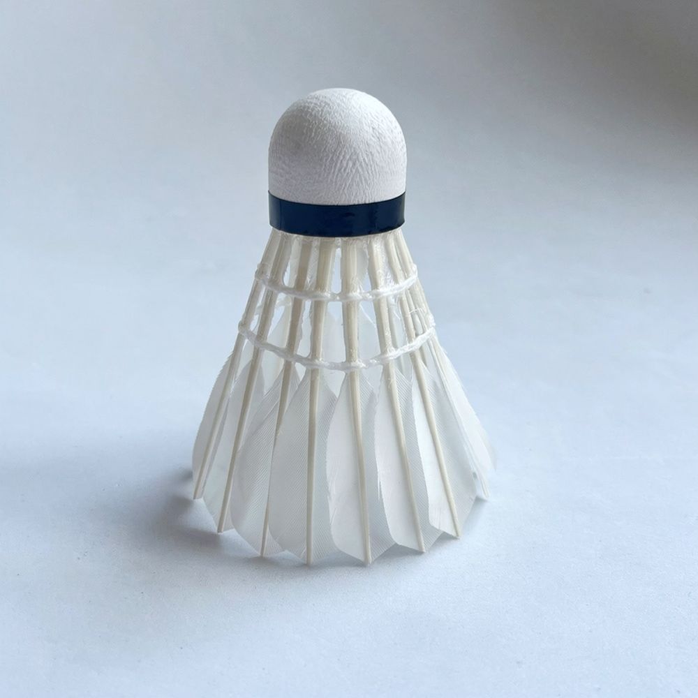 Profesjonalna piłka do badmint – Feather Shuttlecock recenzja i cena